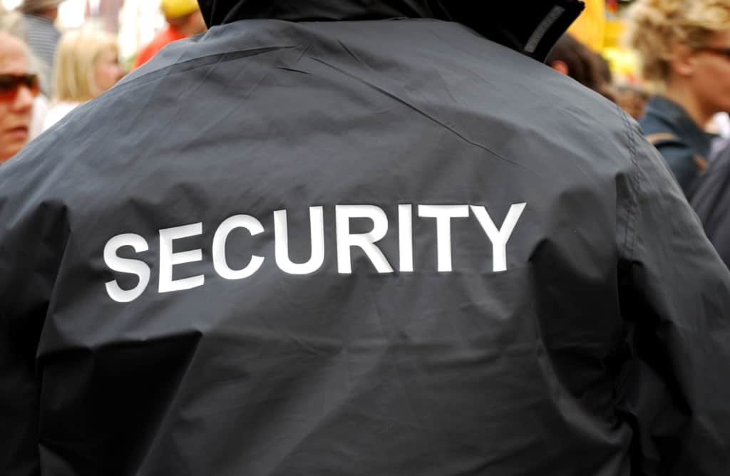 Event Security Guard Observing Crowd